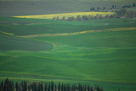 Tuscania Landscape