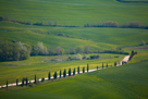 Tuscania Landscape