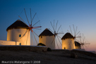 Windmills sunset